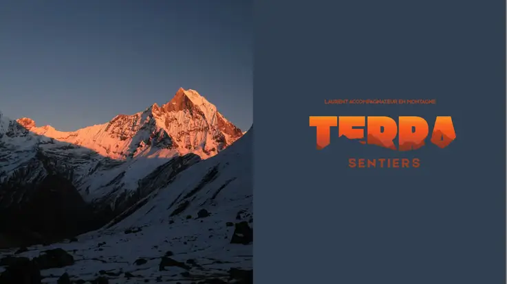 image-d7f190e7-3ec4-4ad7-b1f5-278a1c83caf6